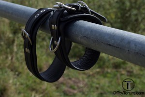 Leather Restraints